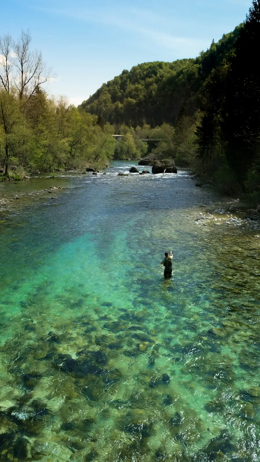 Klarer Fluss zwischen bewaldeten Ufern